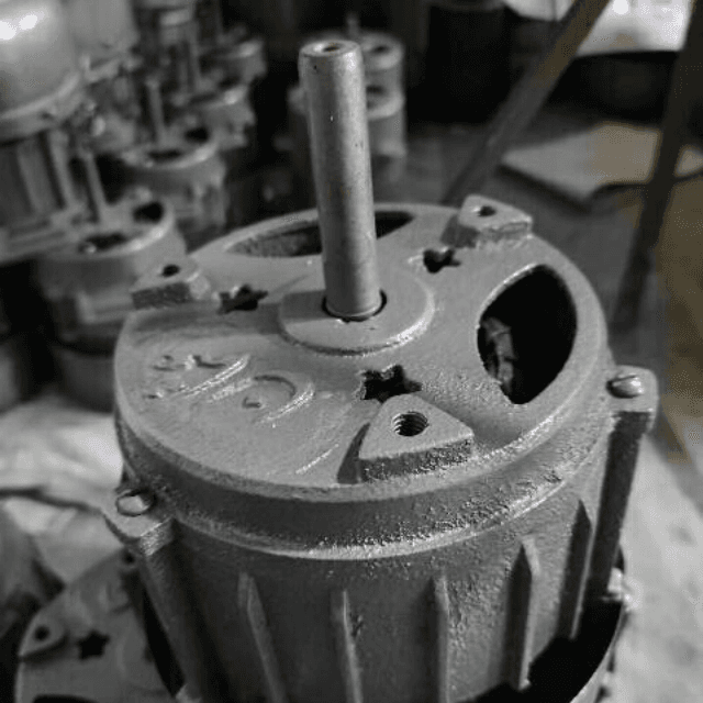Daigi MOTOR SILVER